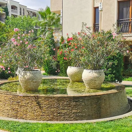 Attractive Family In Sunny Cascadas Family Słoneczny Brzeg